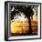 Silhouette at Sunset - Florida-Philippe Hugonnard-Framed Photographic Print