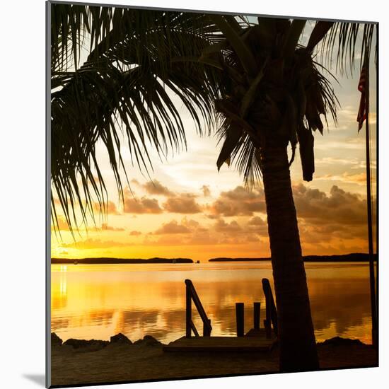 Silhouette at Sunset - Florida-Philippe Hugonnard-Mounted Photographic Print