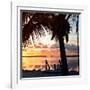 Silhouette at Sunset - Florida-Philippe Hugonnard-Framed Premium Photographic Print