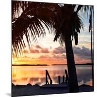 Silhouette at Sunset - Florida-Philippe Hugonnard-Mounted Premium Photographic Print