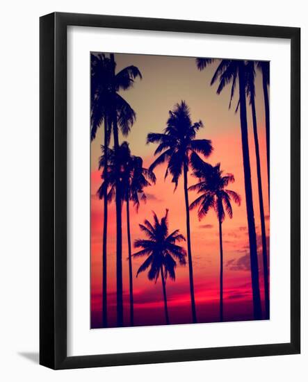 Silhouette Coconut Palm Tree Outdoors Concept-Rawpixel com-Framed Photographic Print