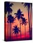 Silhouette Coconut Palm Tree Outdoors Concept-Rawpixel com-Stretched Canvas