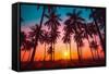 Silhouette Coconut Palm Trees on Beach at Sunset. Vintage Tone.-Nuttawut Uttamaharad-Framed Stretched Canvas