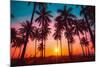 Silhouette Coconut Palm Trees on Beach at Sunset. Vintage Tone.-Nuttawut Uttamaharad-Mounted Photographic Print