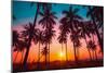 Silhouette Coconut Palm Trees on Beach at Sunset. Vintage Tone.-Nuttawut Uttamaharad-Mounted Photographic Print