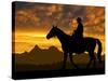 Silhouette Cowboy with Horse in the Sunset-volrab vaclav-Stretched Canvas