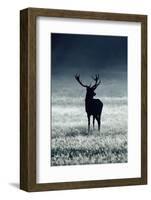 Silhouette Deer-Incado-Framed Photographic Print