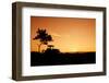 Silhouette Farmers Drive Tractors the Fields in the Morning-Sunti-Framed Photographic Print