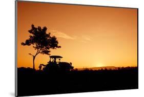 Silhouette Farmers Drive Tractors the Fields in the Morning-Sunti-Mounted Photographic Print