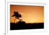 Silhouette Farmers Drive Tractors the Fields in the Morning-Sunti-Framed Photographic Print