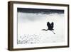 Silhouette Flight-Staffan Widstrand-Framed Giclee Print