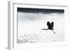 Silhouette Flight-Staffan Widstrand-Framed Giclee Print