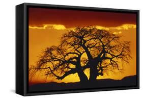 Silhouette Image of Tree at Sunset-Merrill Images-Framed Stretched Canvas