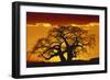 Silhouette Image of Tree at Sunset-Merrill Images-Framed Photographic Print