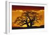 Silhouette Image of Tree at Sunset-Merrill Images-Framed Photographic Print