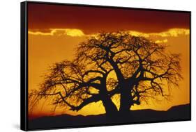 Silhouette Image of Tree at Sunset-Merrill Images-Framed Stretched Canvas