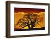 Silhouette Image of Tree at Sunset-Merrill Images-Framed Premium Photographic Print