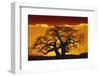 Silhouette Image of Tree at Sunset-Merrill Images-Framed Premium Photographic Print