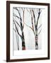 Silhouette in Color-Rikki Drotar-Framed Giclee Print