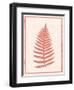 Silhouette in Coral I-Susan Davies-Framed Art Print