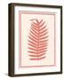 Silhouette in Coral II-Susan Davies-Framed Art Print