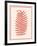 Silhouette in Coral II-Susan Davies-Framed Art Print