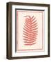 Silhouette in Coral II-Susan Davies-Framed Art Print