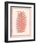 Silhouette in Coral II-Susan Davies-Framed Art Print