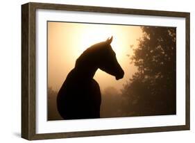 Silhouette Of A Beautiful Arabian Horse Against Sun Shining Through Heavy Fog, In Sepia Tone-Sari ONeal-Framed Photographic Print