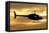 Silhouette of a Bell 206 Utility Helicopter-null-Framed Stretched Canvas