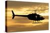 Silhouette of a Bell 206 Utility Helicopter-null-Stretched Canvas