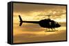 Silhouette of a Bell 206 Utility Helicopter-null-Framed Stretched Canvas