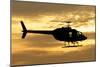 Silhouette of a Bell 206 Utility Helicopter-null-Mounted Photographic Print