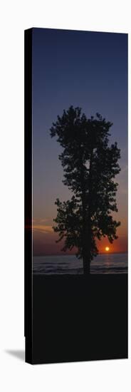 Silhouette of a Cotton Wood Tree at Sunrise, Lake Erie, Michigan, USA-null-Stretched Canvas