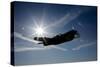 Silhouette of a Curtiss P-40E Warhawk in Flight Near Chino, California-null-Stretched Canvas