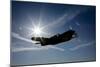 Silhouette of a Curtiss P-40E Warhawk in Flight Near Chino, California-null-Mounted Photographic Print