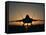 Silhouette of a F-22 Raptor-Stocktrek Images-Framed Stretched Canvas