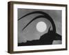 Silhouette of a Giant Sable Antelope Against the Setting Sun-Carlo Bavagnoli-Framed Photographic Print