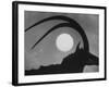 Silhouette of a Giant Sable Antelope Against the Setting Sun-Carlo Bavagnoli-Framed Photographic Print