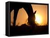 Silhouette Of A Grazing Horse Against Sunrise-Sari ONeal-Framed Stretched Canvas