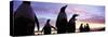 Silhouette of a Group of Gentoo Penguins, Falkland Islands-null-Stretched Canvas