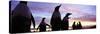 Silhouette of a Group of Gentoo Penguins, Falkland Islands-null-Stretched Canvas