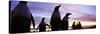 Silhouette of a Group of Gentoo Penguins, Falkland Islands-null-Stretched Canvas