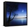 Silhouette of a Lonely Tree in a Lake Against a Starry Sky and Moon-null-Framed Stretched Canvas