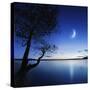 Silhouette of a Lonely Tree in a Lake Against a Starry Sky and Moon-null-Stretched Canvas