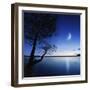 Silhouette of a Lonely Tree in a Lake Against a Starry Sky and Moon-null-Framed Photographic Print