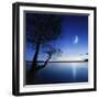 Silhouette of a Lonely Tree in a Lake Against a Starry Sky and Moon-null-Framed Photographic Print