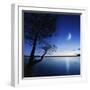 Silhouette of a Lonely Tree in a Lake Against a Starry Sky and Moon-null-Framed Photographic Print