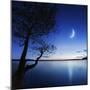 Silhouette of a Lonely Tree in a Lake Against a Starry Sky and Moon-null-Mounted Photographic Print