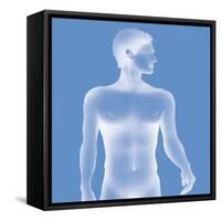 Silhouette of a Man-Caroline Arquevaux-Framed Stretched Canvas